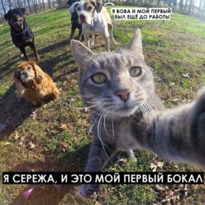 magic mess первый бокал